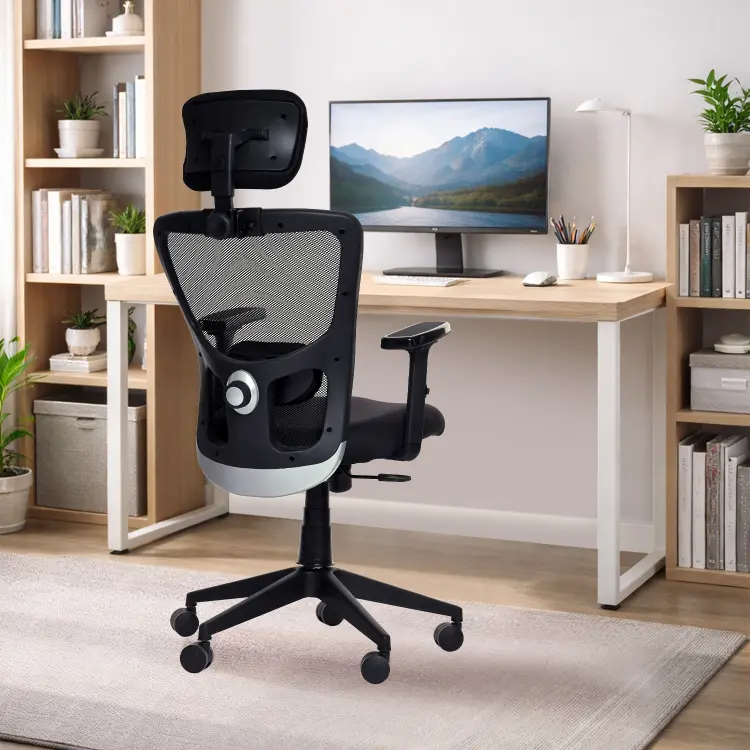 Apex Ergonomic High Back Office & Study Chair