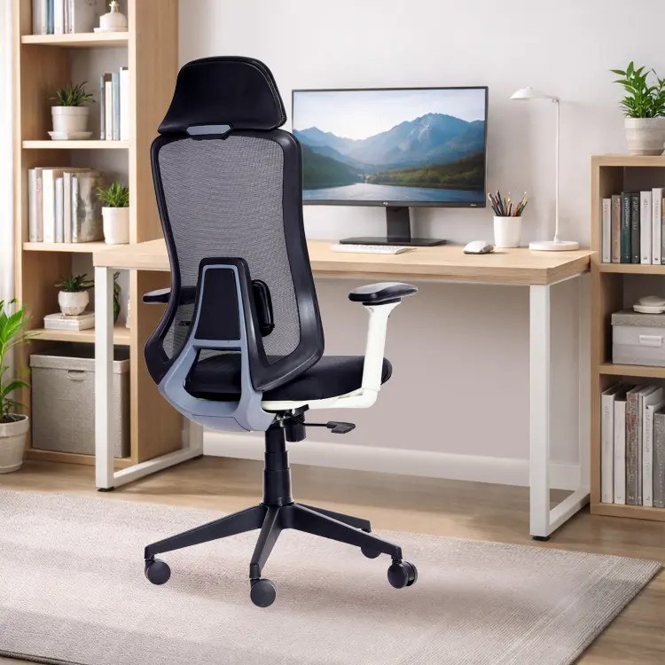 Zen Ergonomic Office Chair