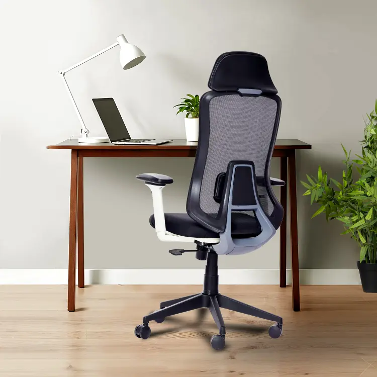 Zen Ergonomic Office Chair