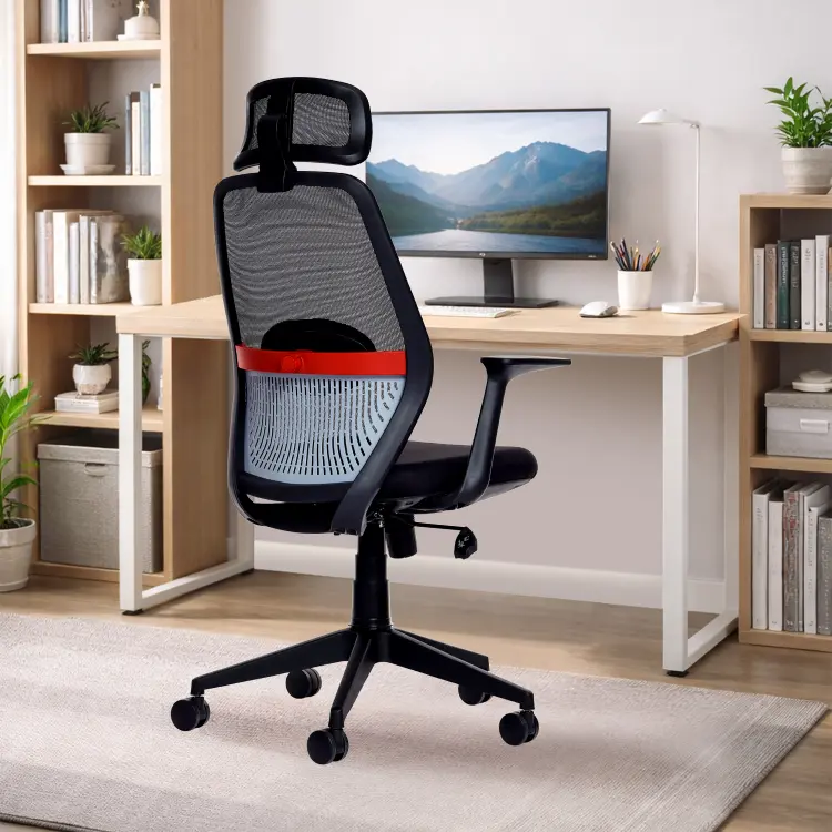 Nexa Ergonomic Office Chair